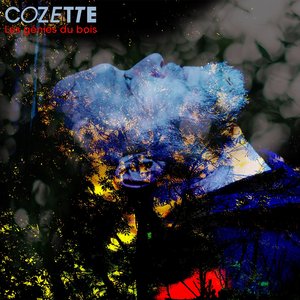 Les génies du bois (Album)