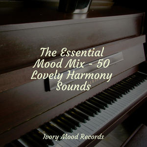 Melodic Transitions Await