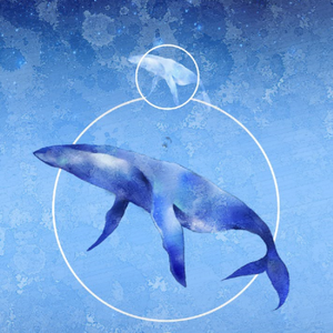 叶落的季节【钢琴曲】