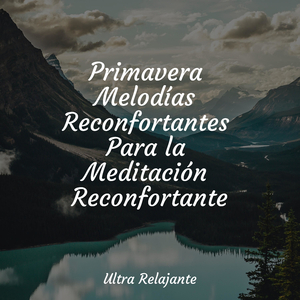 Sonidos De Equilibrio