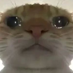 拜拜拜 (微微辣)