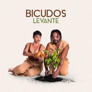 Bicudos