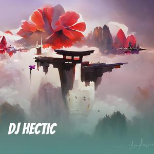 Dj Hectic