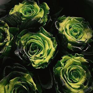 bye love 2（Prod EVOMUSIC）