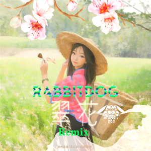 DP龙猪-翠花（Rabbitdog remix）