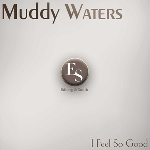 I've Got My Mojo Working (Original Mix)