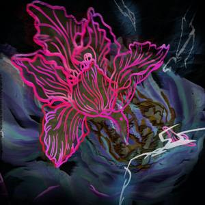 山顶的花永不凋谢（prod.by Morrow x Polar）