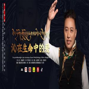 沁在生命中的爱 伴奏