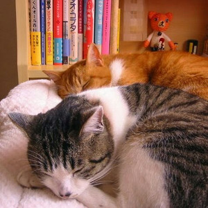 The Gangsta, The Killa And The Dope Dealer (sped up)