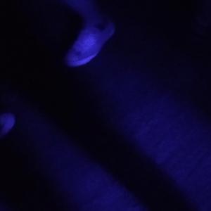 reverse / 逆行する (Lushikutefu mix)