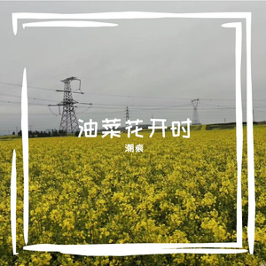 油菜花开时