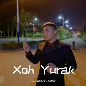 Newruz gulum樱花（翻自 Mahmut Sulayman 穆罕莫德·苏来曼）