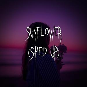 sunflower - spider-man: into the spider-verse (sped up)