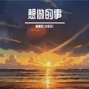 想做的事