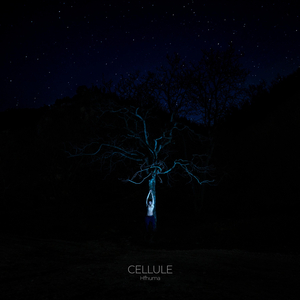 Cellule