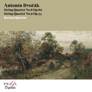 String Quartet No. 8 in E Major, Op. 80, B. 57: II. Andante con moto