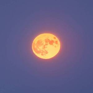 短裙【地下情人版】（翻自 AOA）