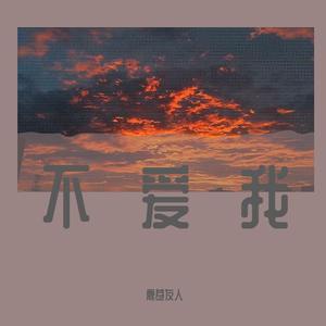 不爱我