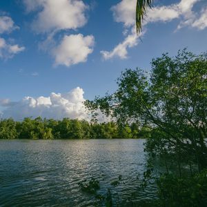 Op.13 No.16《北京的贵公子》C小调交响曲