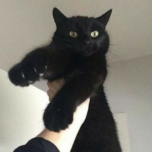 超级无敌顶级boom bap type beat！可以用它diss你觉得最不爽的那个人！