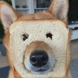 猪猪侠（片段）