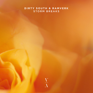 In Bloom (Extended Mix)