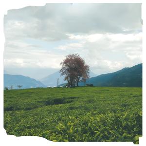 Timrei Satha Le (With You)