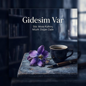 Gidesim Var