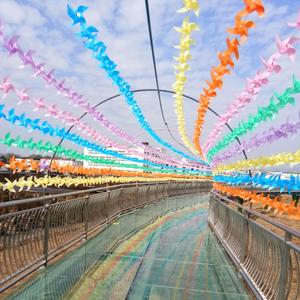 梦想天空分外蓝