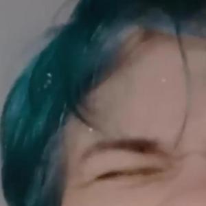 Zviera