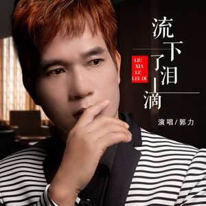 流下了泪滴 - DJ默涵版