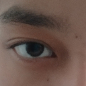 梦