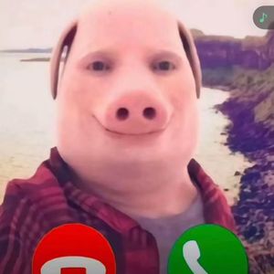 【Free】PIG GOD udg type beat