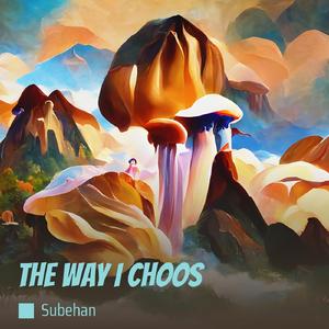 The Way I Choos