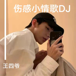 爱你爱不够想你泪会流(DJ王有生)