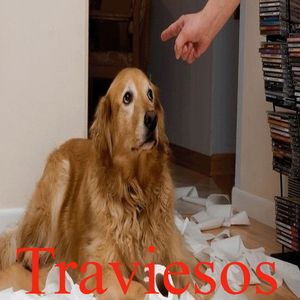 Traviesos