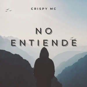 No Entiende