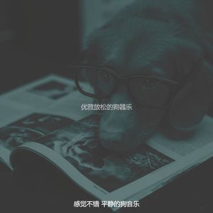 有趣可爱的狗情怀