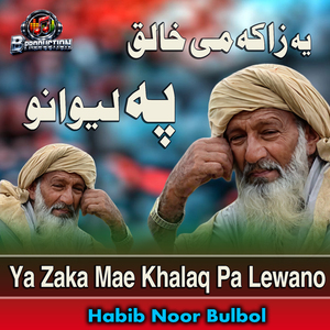 Ya Zaka Mae Khalaq Pa Lewano