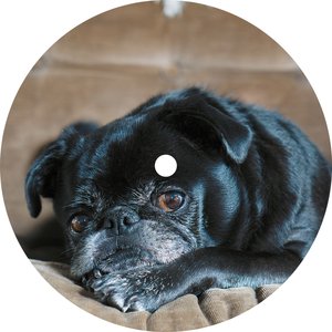 Corduroy City (The Mole Remix)