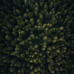3 靠自己
