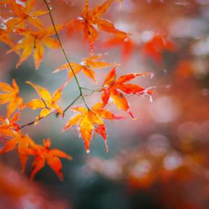 当想你成为习惯