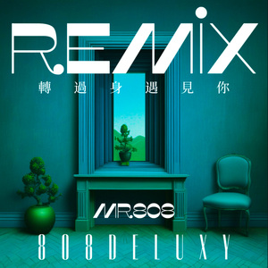 转过身遇见你 808DELUXY REMIX