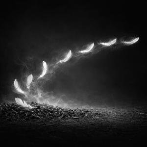 BİR İHTİMALİN KÜLLERİ