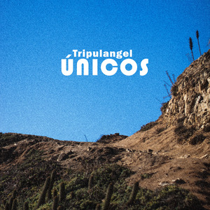 Únicos (Cover)