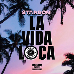 La Vida Loca