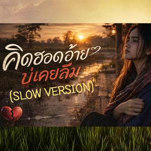 คิดฮอดอ้ายบ่เคยลืม (Slow Version)