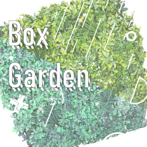 Boxgarden