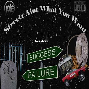 Streetz Ain't What You Want