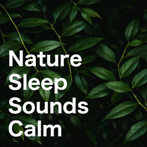 超熟睡ギター 睡眠導入BGM 自律神経を整える癒しα波のヒーリング音楽 (自律神経を整える睡眠用 森 鳥)